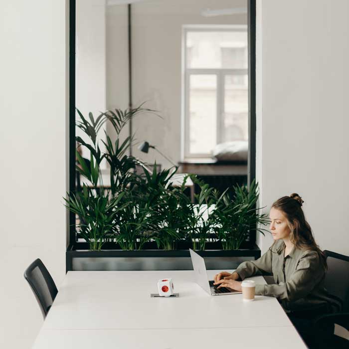 Benefits of Online Career Coaching Services During Unemployment Crisis